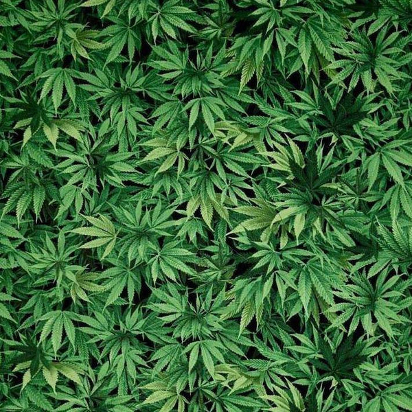 Cannabis Pot Leaves Cotton Fabric - Novelty Fabric - Same Day Fabric - Foust Textiles